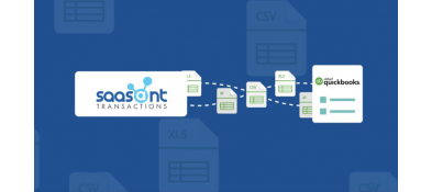 The Ultimate Guidelines for SaasAnt Transaction Software